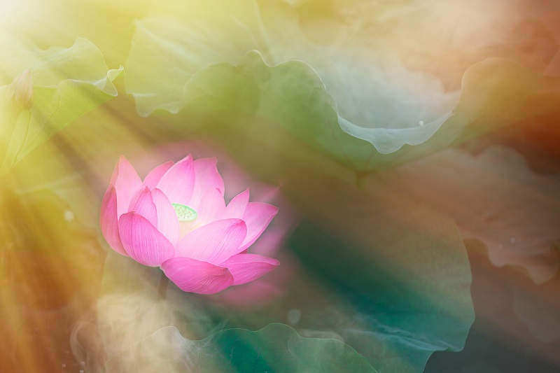 教育是潤(rùn)物無聲的靜待花開